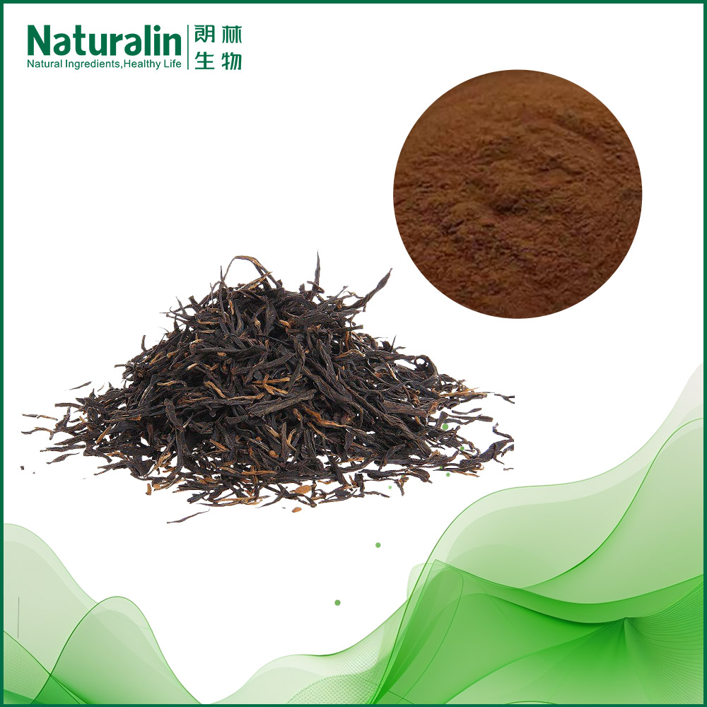 红茶提取物
