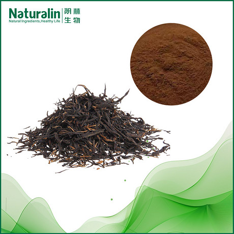 红茶提取物
