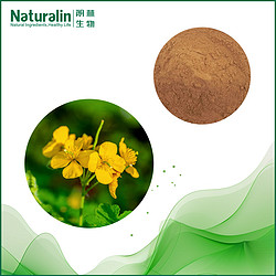 白屈菜提取物