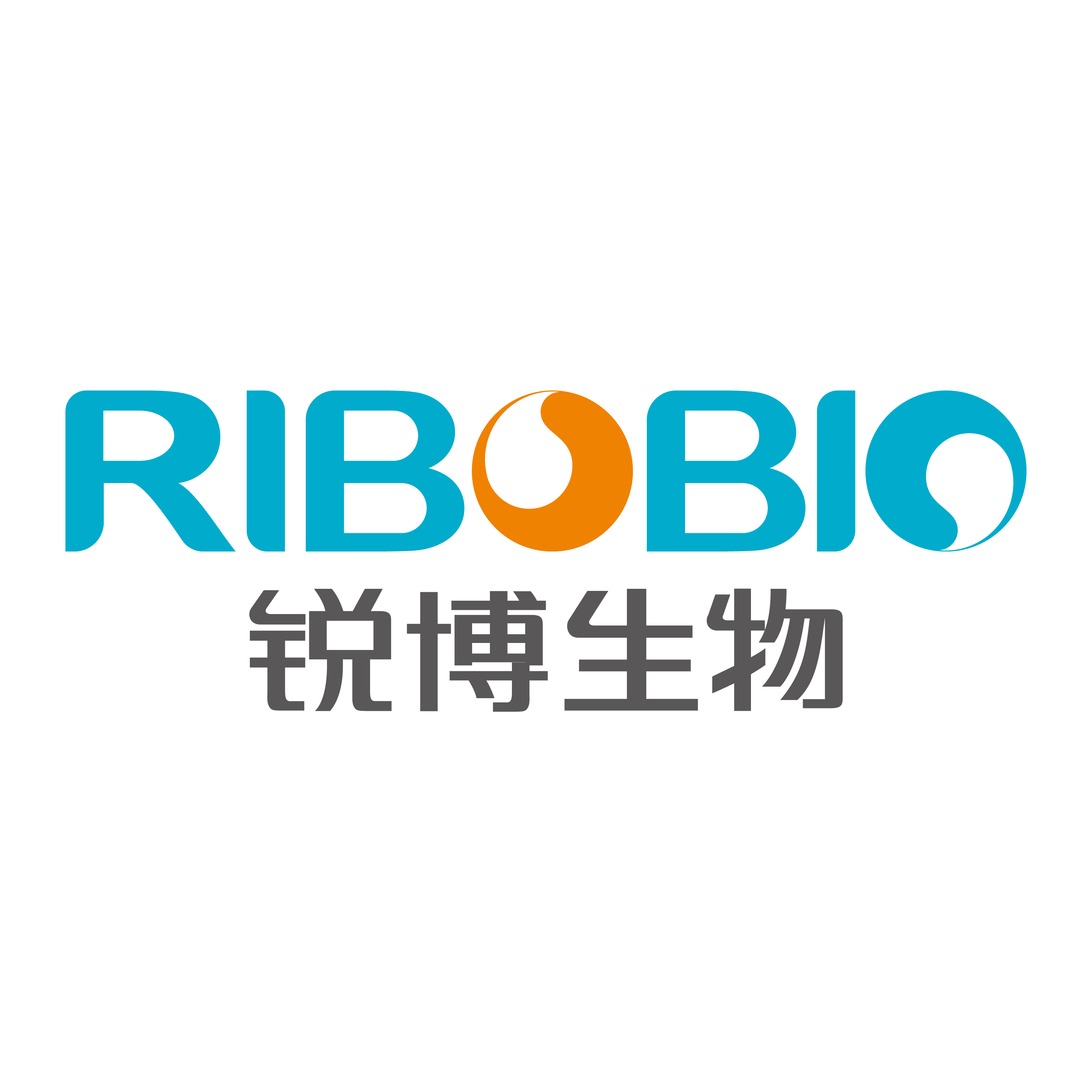 RiboTM Cap1 Cre mRNA (N1-Me-pseudoU) (1 μg/μL)
