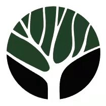 达普司他Daprodustat