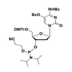 5-OBz-dC(Bz)Phosphoramidite