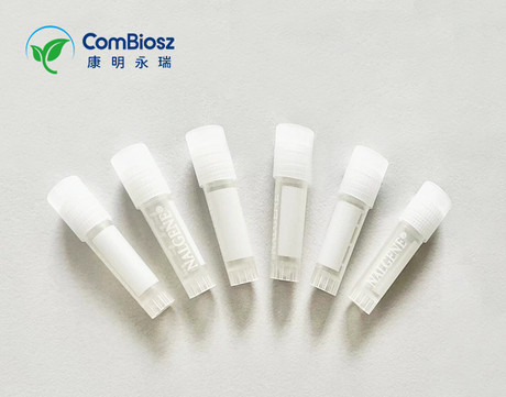 ACTH - Asi促肾上腺皮质激素多肽-