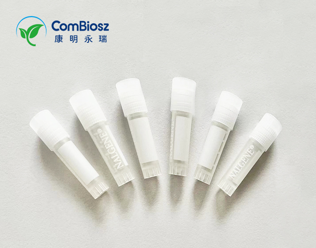 Somatostatin - Impurity F生長激素抑制素- 雜質(zhì) f