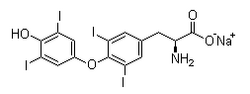 Levothyroxine Sodium (T4) L-甲状腺素钠 (T4)