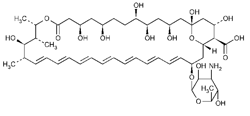 Amphotericin B两性霉素 B