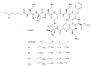 Polymyxin B Sulfate硫酸多粘菌素 B