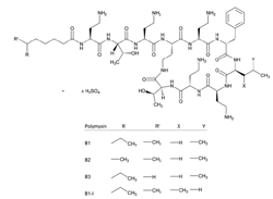 Polymyxin B Sulfate硫酸多粘菌素 B