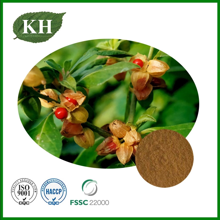 Ashwagandha Root Extract