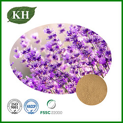 Lavender Extract