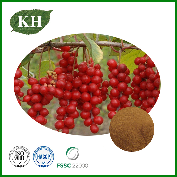Schizandra Chinensis Extract