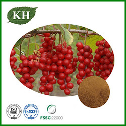 Schizandra Chinensis Extract