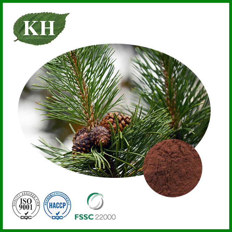 Pine Bark Extract