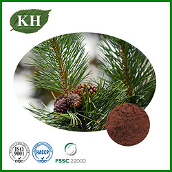 Pine Bark Extract