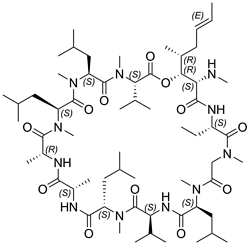 異環(huán)孢素A