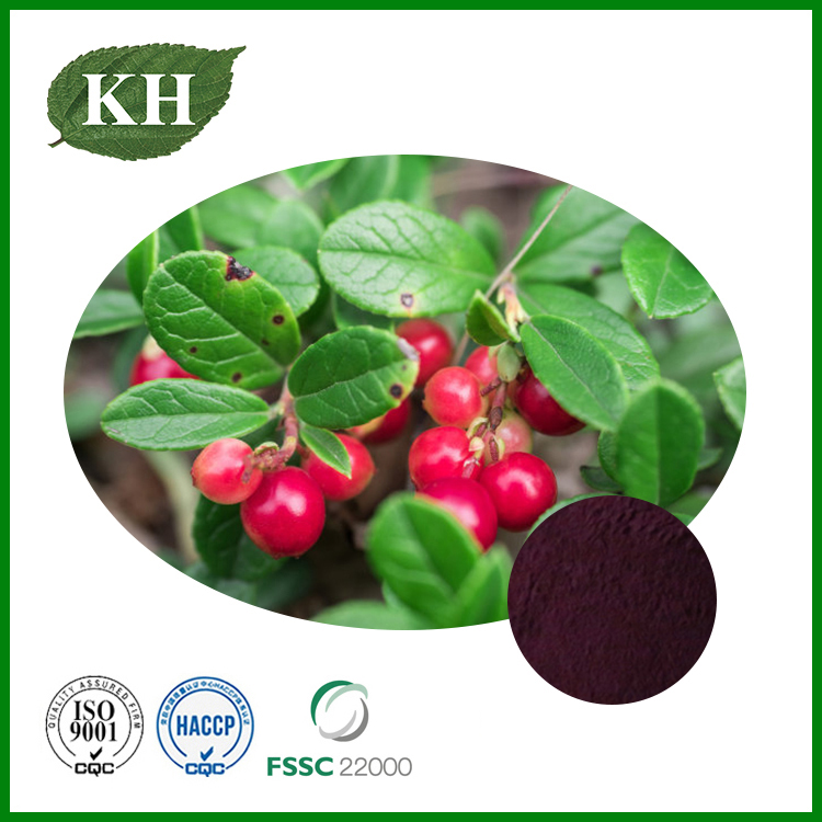 Bilberry Extract