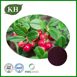 Bilberry Extract
