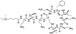 多粘菌素B1-I