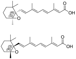 維A酸EP雜質(zhì)G