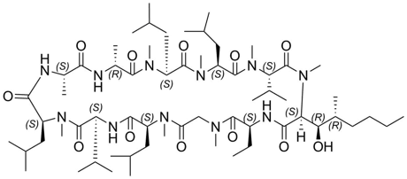 二氢环孢菌素A