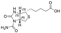 生物素雜質(zhì)23