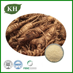 American Ginseng  Root Extract