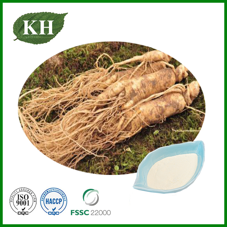Ginseng Extract
