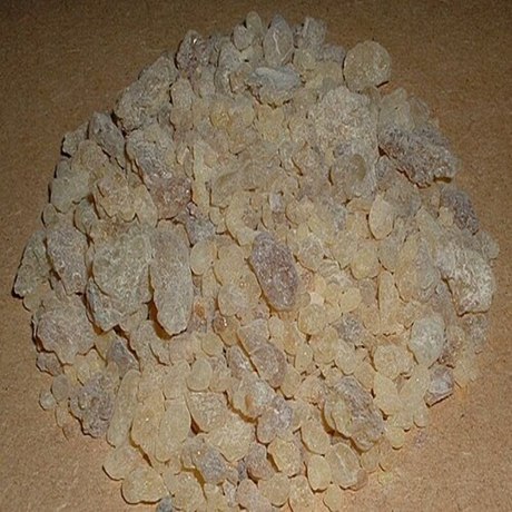 乳香提取物