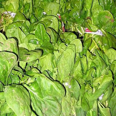 天然菠菜粉