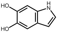5,6-二羥基吲哚