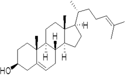 3Β-羟基-5,24-胆甾二烯