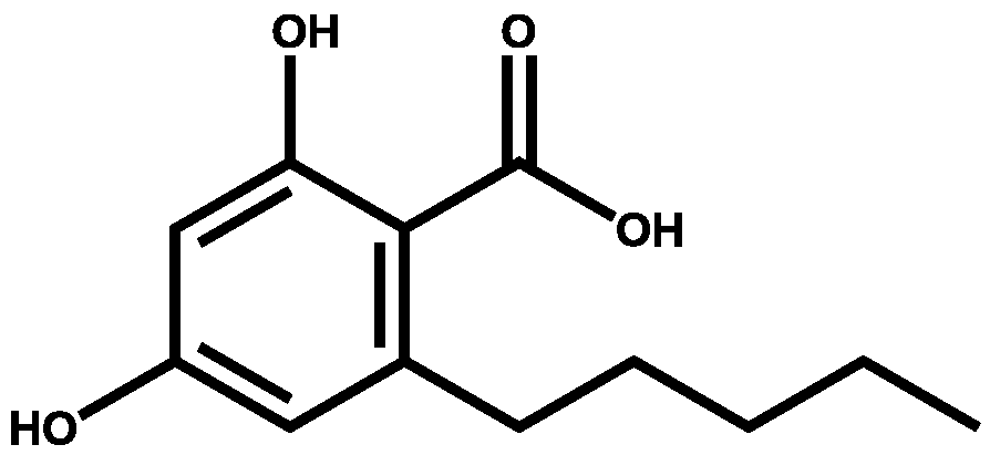 橄欖醇酸