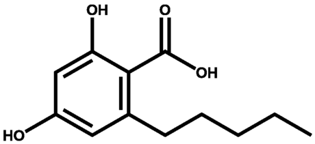 橄榄醇酸