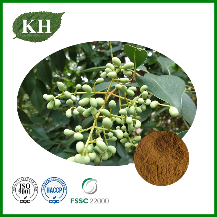 Ligustrum Fruit Extract