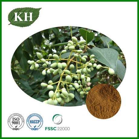 Ligustrum Fruit Extract