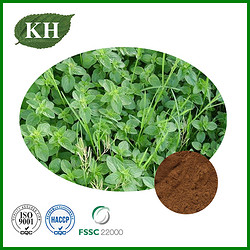 Thyme Extract