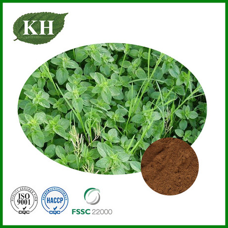 Thyme Extract