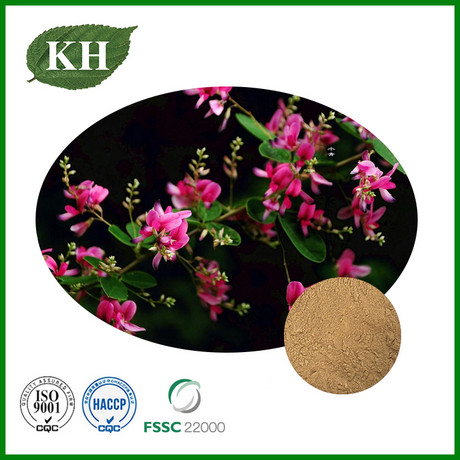 Lespedeza Capitata Extract