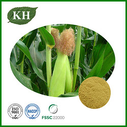 Corn Silk Extract