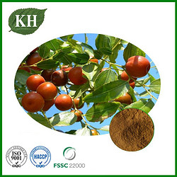 Jujube Seed Extract