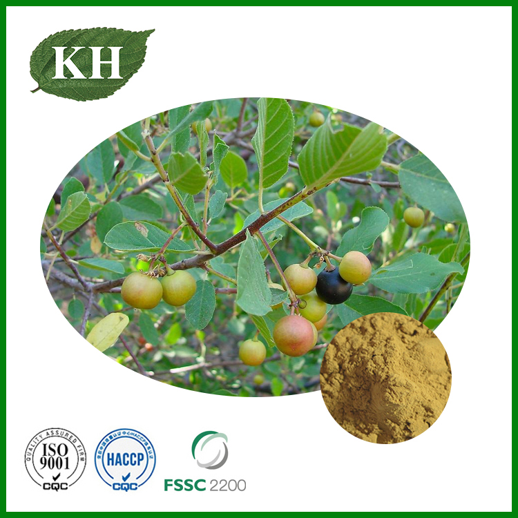 Cascara Sagrada Bark Extract