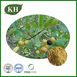 Cascara Sagrada Bark Extract