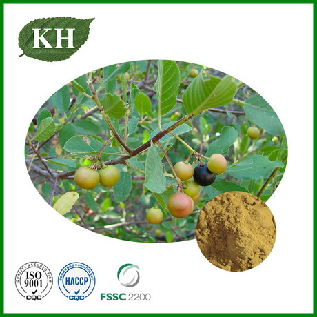 Cascara Sagrada Bark Extract