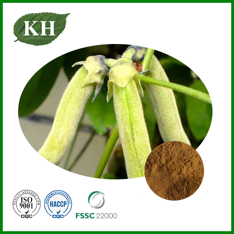 Mucuna Pruriens Extract