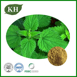 Nettle Extract