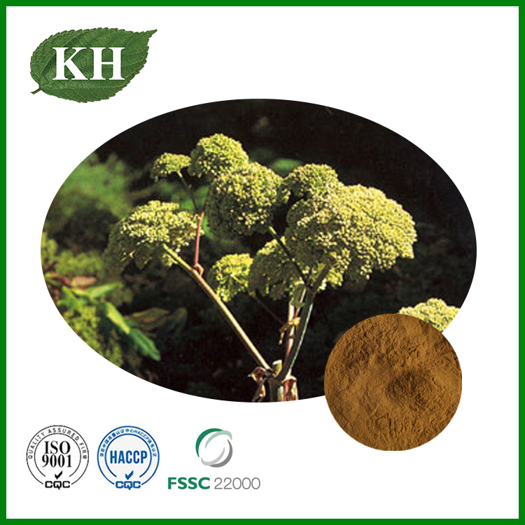 Angelica Officinalis Extract