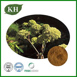 Angelica Officinalis Extract