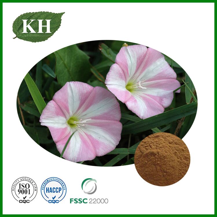 Field Bindweed Extract