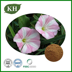 Field Bindweed Extract