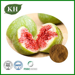 Fig Extract